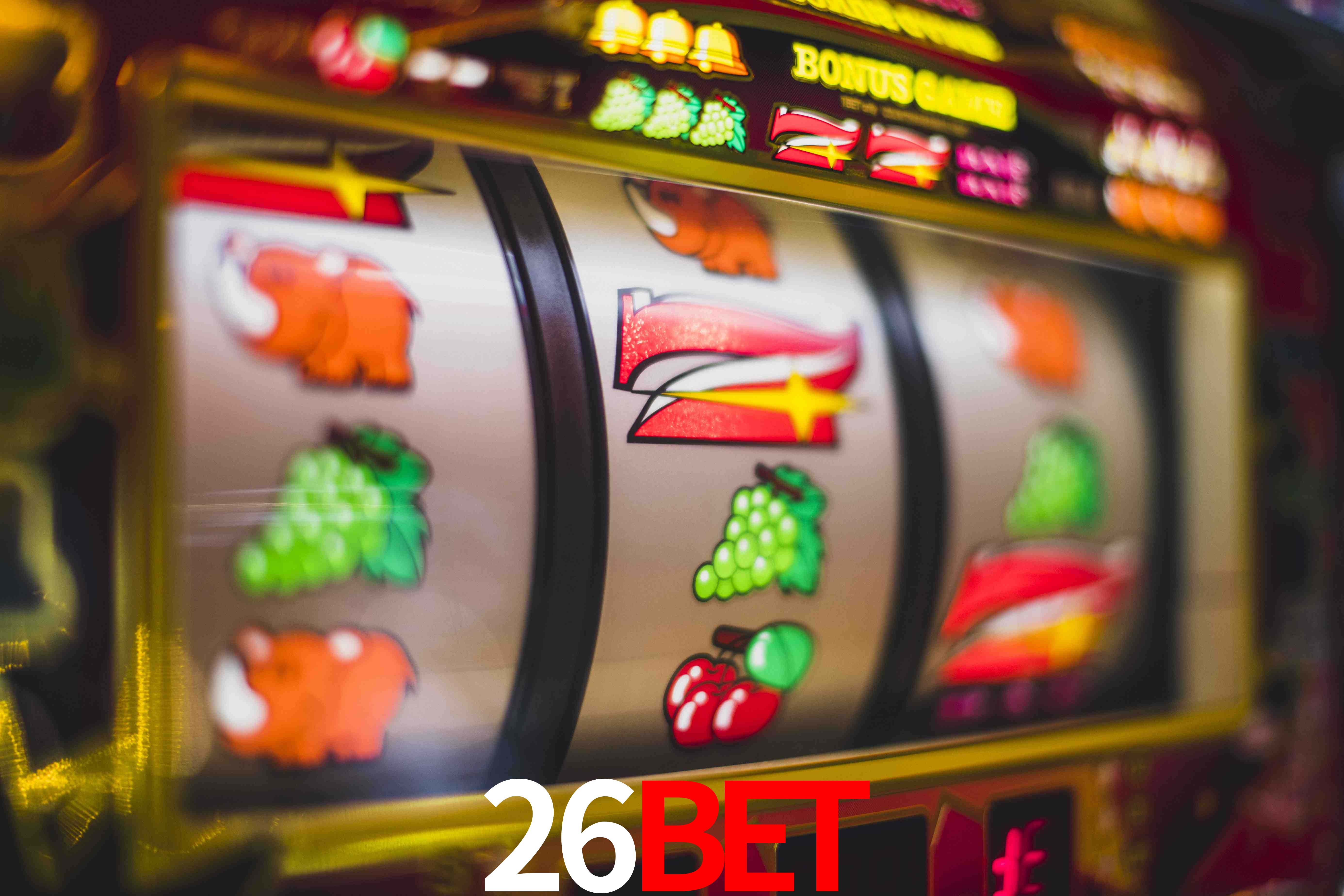 Statistics 26bet